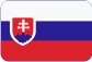 MINERVA ČESKÁ REPUBLIKA a.s. Slovensky